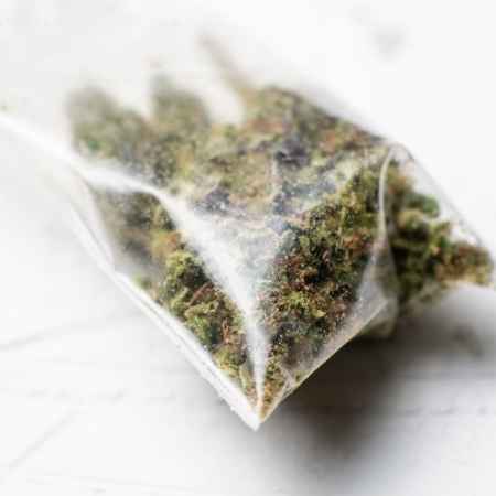 cannabis in plastic bag